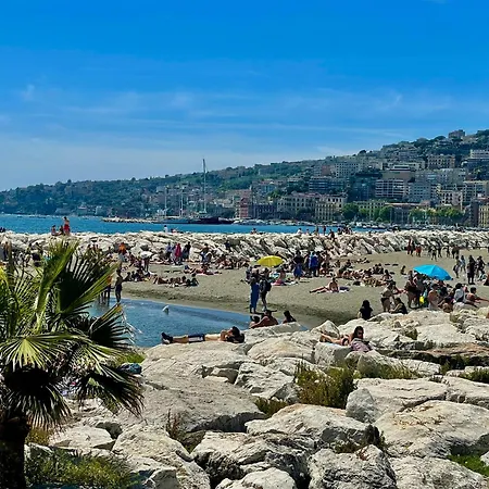 Daire Toledo Center *