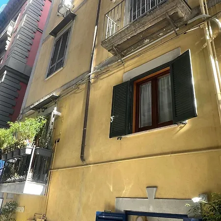 Apartment Toledo Center Naples